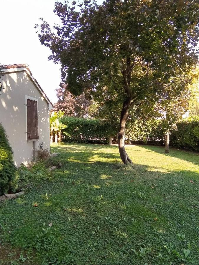 B&B Il Ponticello Gualtieri Bagian luar foto